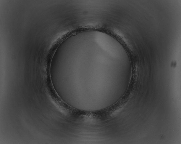 X0000091540688200708311332