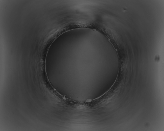 X0000091540689200708311332