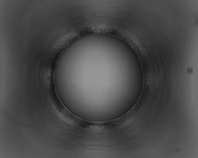 X0000091540690200708311332