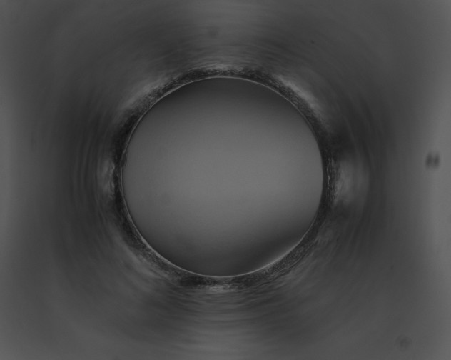 X0000091540692200708311332