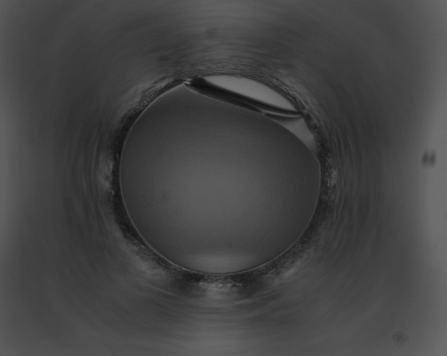 X0000091540693200708311332