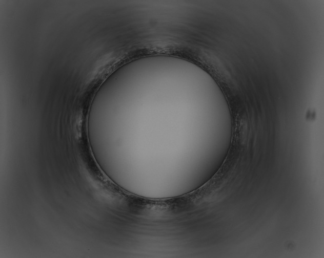 X0000091540694200708311332