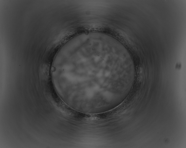 X0000091540695200708311332