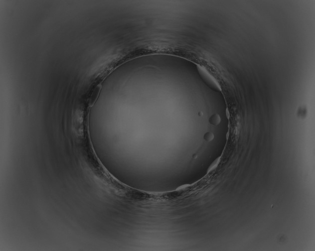 X0000091540696200708311332