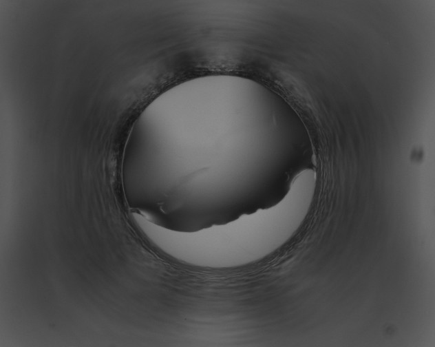 X0000091540697200708311332