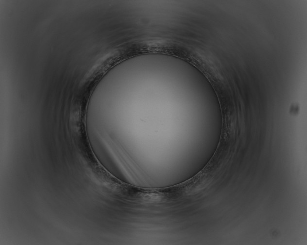 X0000091540698200708311332