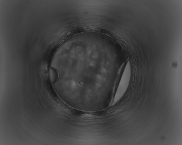 X0000091540699200708311332