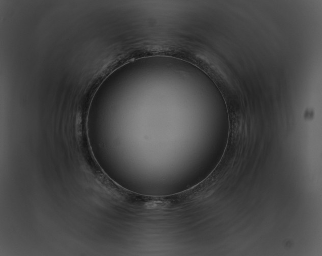 X0000091540700200708311332