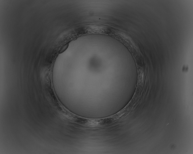 X0000091540701200708311332