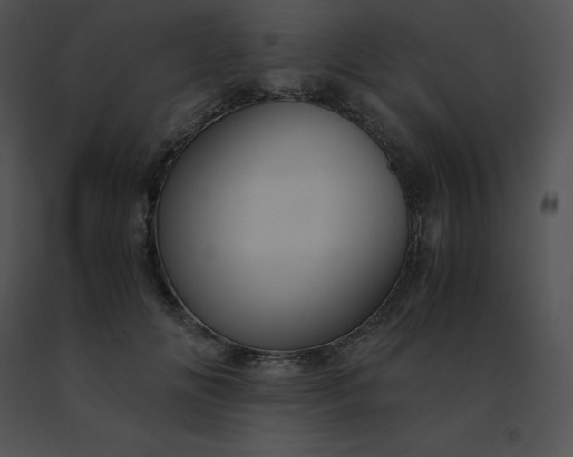 X0000091540702200708311332