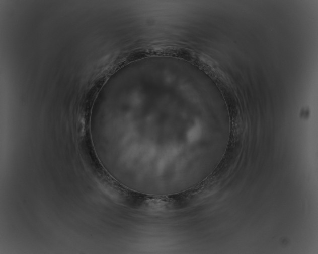 X0000091540703200708311332