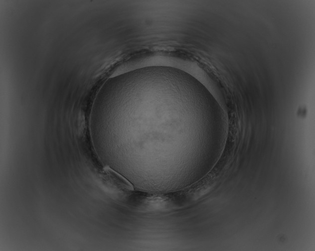 X0000091540704200708311332