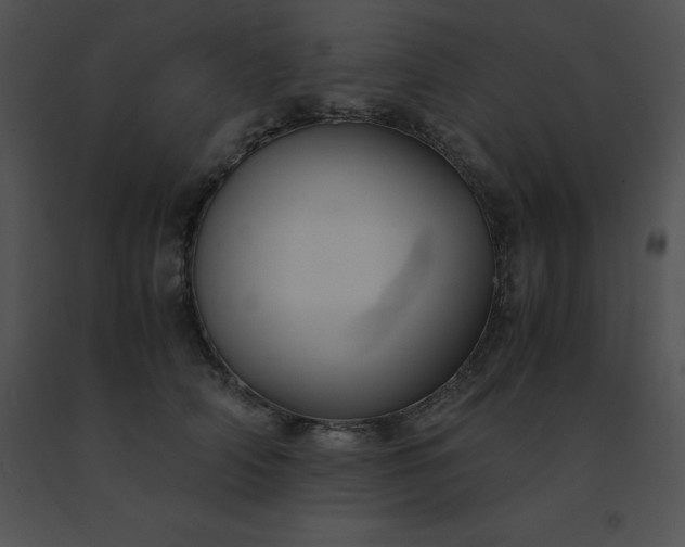 X0000091540706200708311332