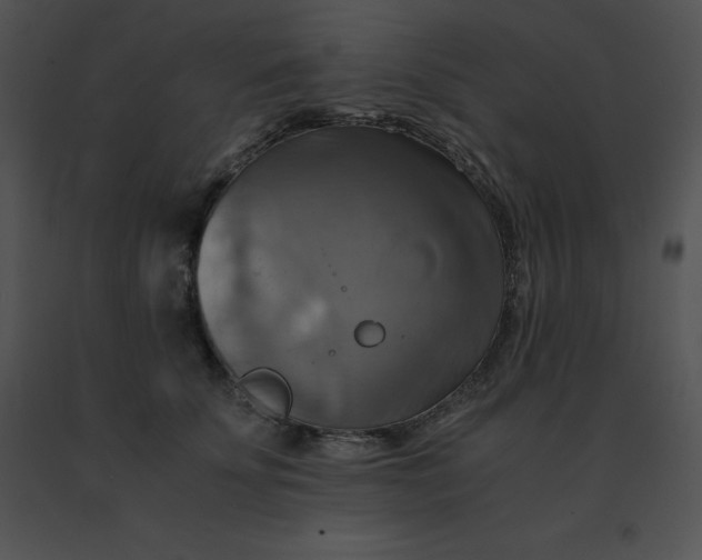 X0000091540707200708311332