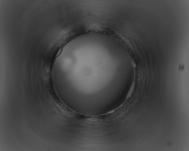 X0000091540708200708311332