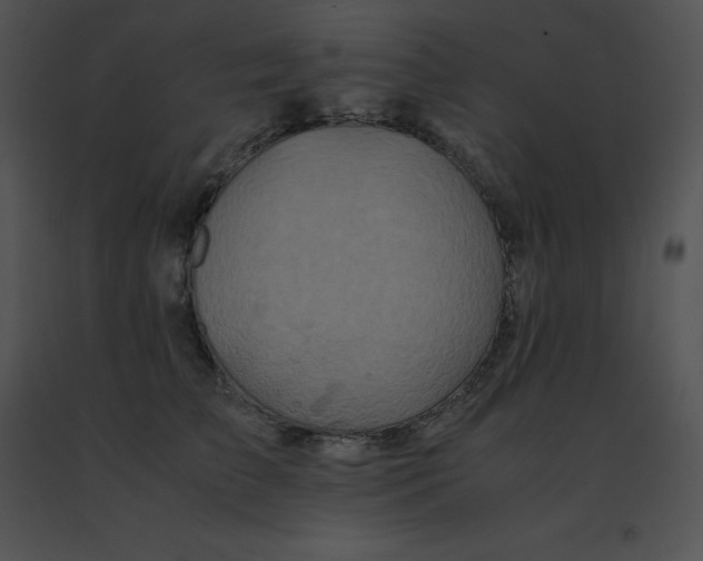 X0000091540709200708311332