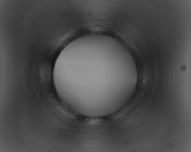 X0000091540710200708311332