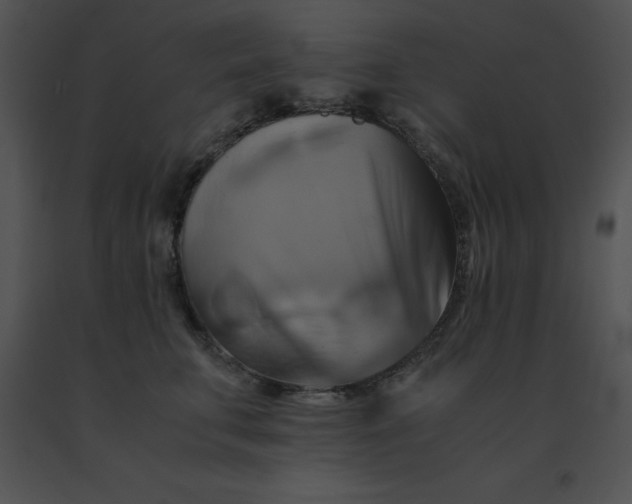 X0000091540711200708311332