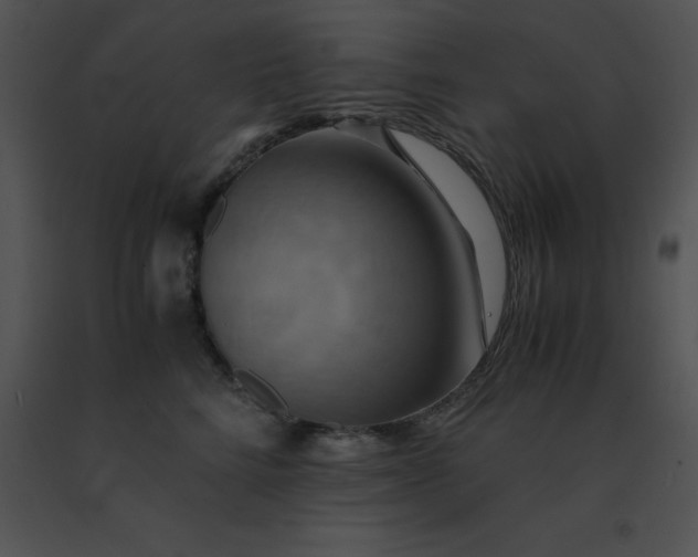 X0000091540712200708311332