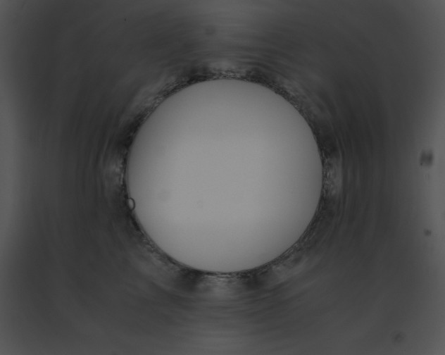 X0000091540713200708311332