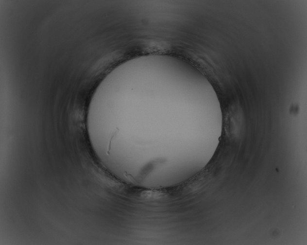 X0000091540714200708311332