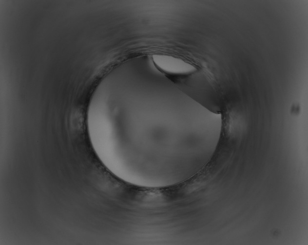 X0000091540715200708311332