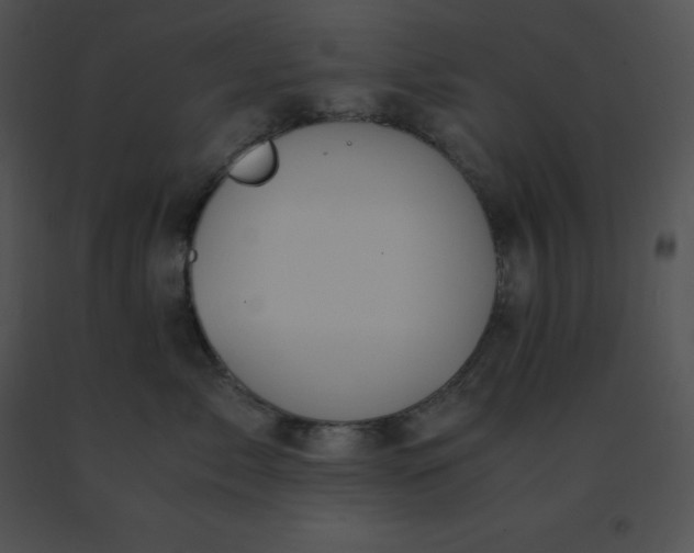 X0000091540717200708311332