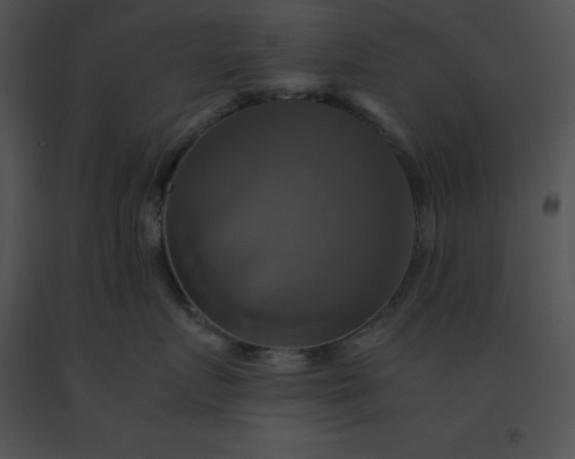 X0000091540719200708311332