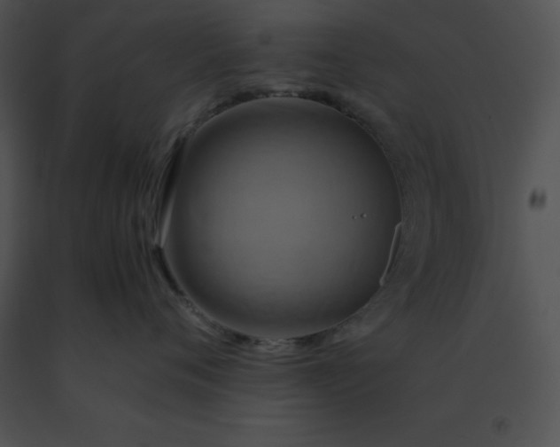 X0000091540720200708311332