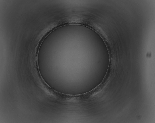 X0000091540721200708311331