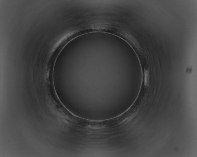 X0000091540723200708311331