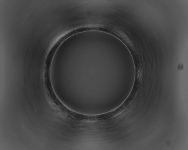 X0000091540724200708311331