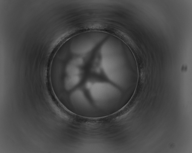 X0000091540725200708311331