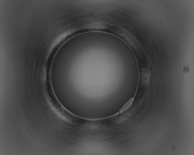X0000091540726200708311331