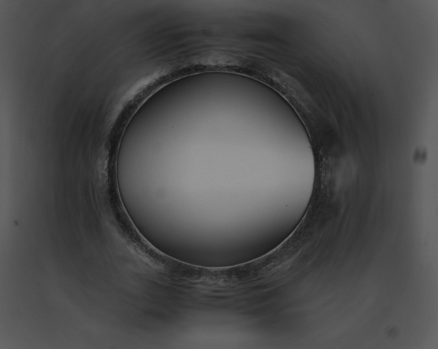 X0000091540727200708311331