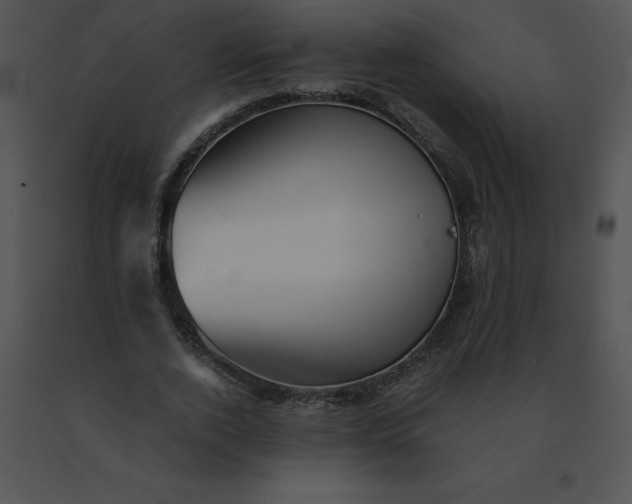 X0000091540728200708311331