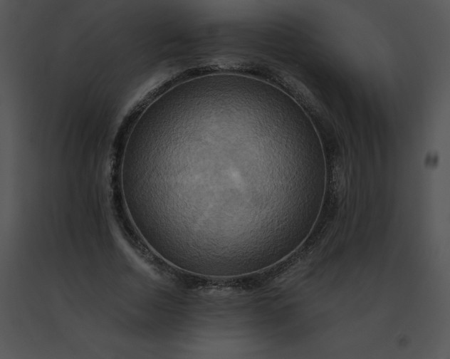X0000091540730200708311331