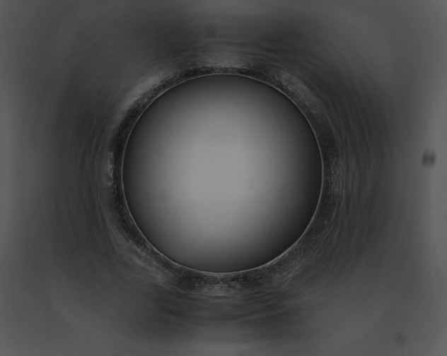 X0000091540731200708311331