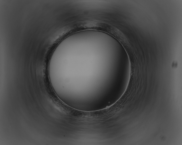 X0000091540732200708311331