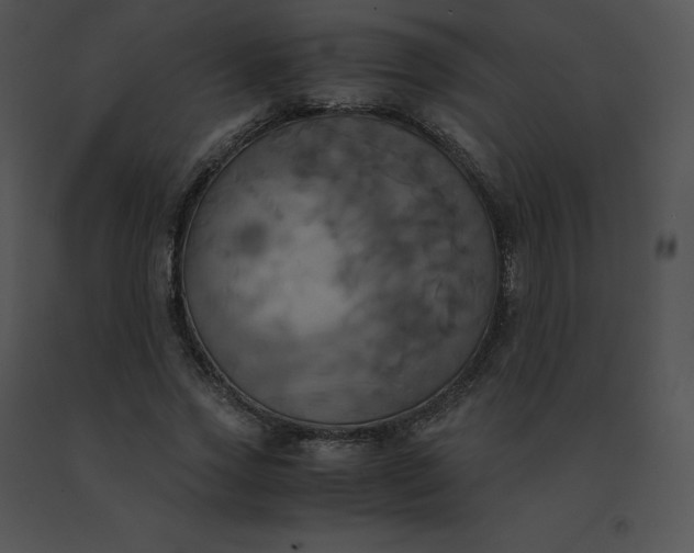 X0000091540733200708311331