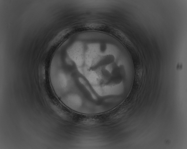 X0000091540734200708311331