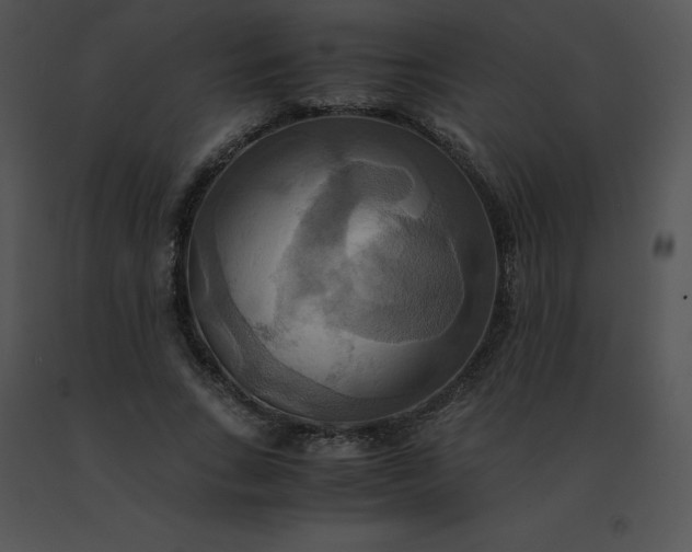 X0000091540735200708311331