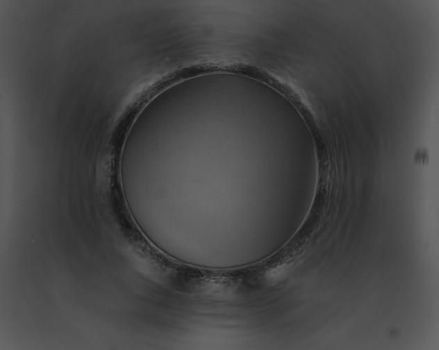 X0000091540736200708311331