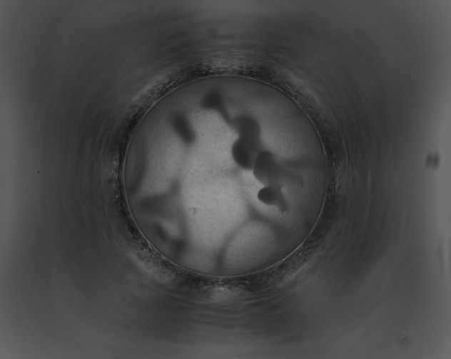 X0000091540737200708311331