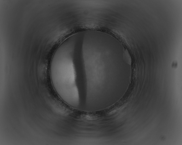 X0000091540739200708311331