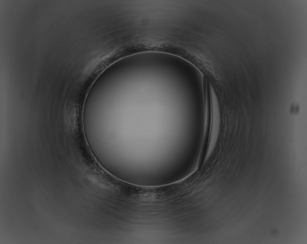 X0000091540740200708311331