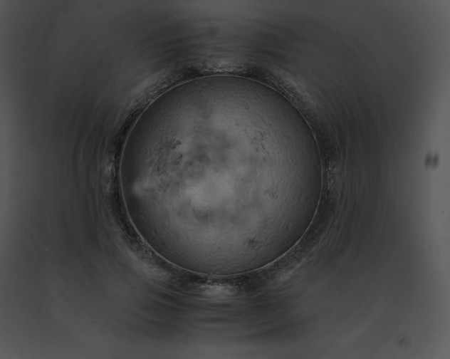 X0000091540741200708311331