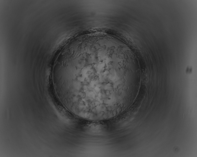 X0000091540742200708311331