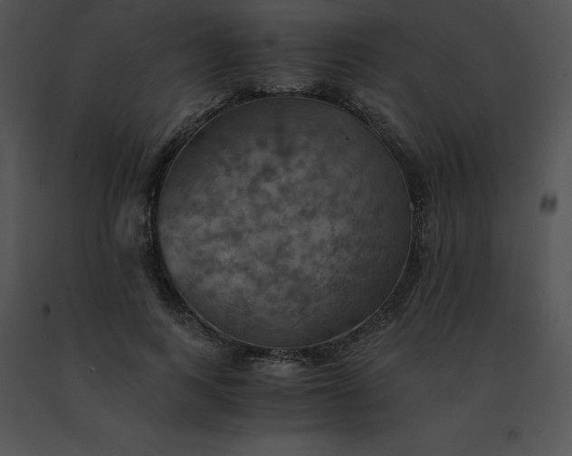 X0000091540743200708311331