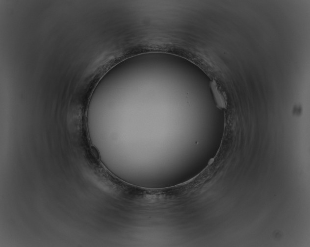 X0000091540744200708311331